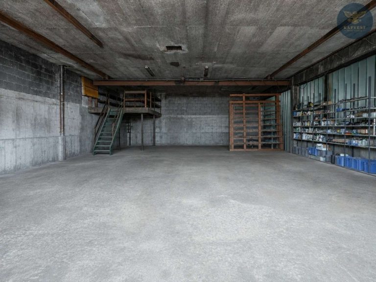 Halle1 Innenansicht